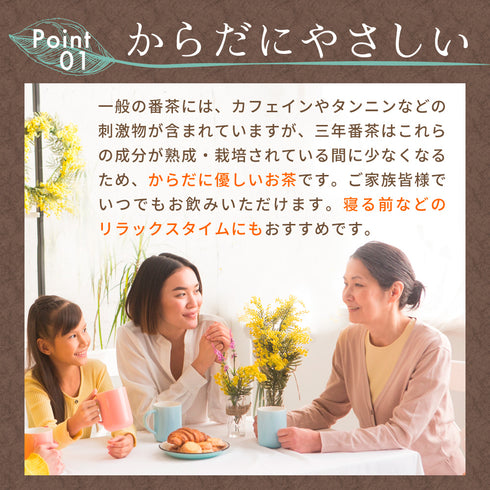 三年番茶 ティーバッグ 5g×32p